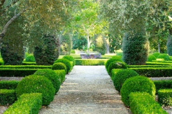 Trang trí sân vườn bằng những mẫu tỉa cây cảnh đẹp 2