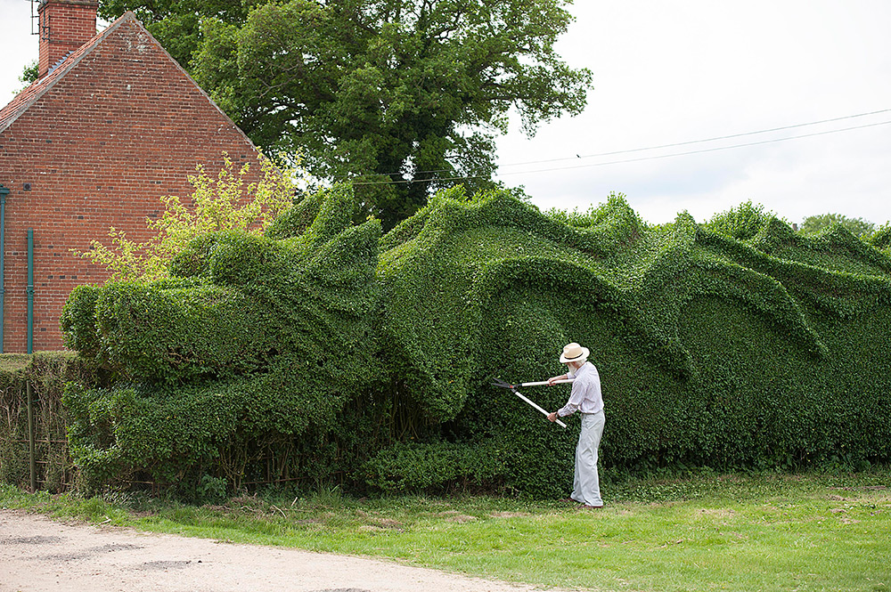 Gardner shapes 100 feet long dragon hedge 4 Ambitious 10 Year Gardening Project : John Brookers Green Dragon Hedge 