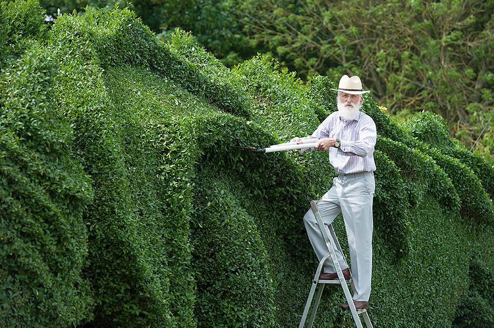 Gardner shapes 100 feet long dragon hedge 5 Ambitious 10 Year Gardening Project : John Brookers Green Dragon Hedge 