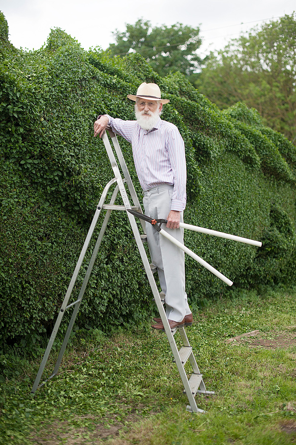 Gardner shapes 100 feet long dragon hedge 6 Ambitious 10 Year Gardening Project : John Brookers Green Dragon Hedge 